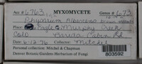Image Associated With the Occurence